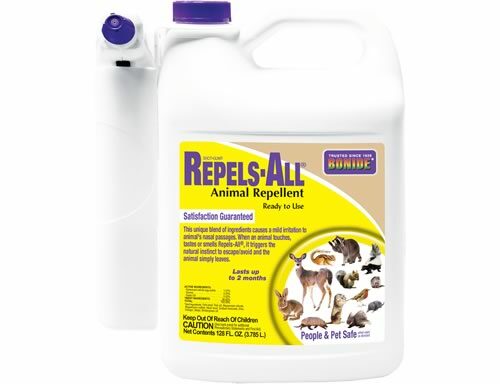Repels All Ready to use gallon with spray