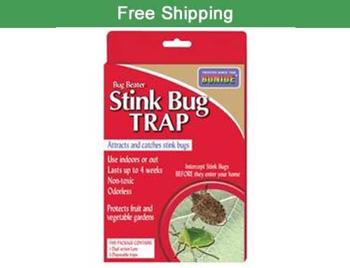 Stink Bug Trap - Nott Products, Inc